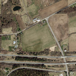 Bettsburg New York High Resolution Satellite Map