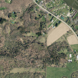 Orchard Terrace New York High Resolution Satellite Map