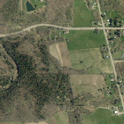 Stedman New York High Resolution Satellite Map