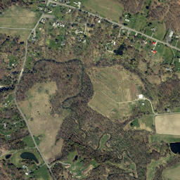 Linlithgo New York High Resolution Satellite Map