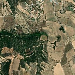Bierge map(satellite map)