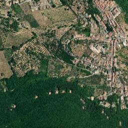 Nerola map(satellite map)