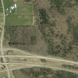 Elm Tree New York High Resolution Satellite Map