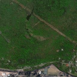 Fleischmanns New York High Resolution Satellite Map