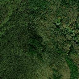 Elka Park New York High Resolution Satellite Map