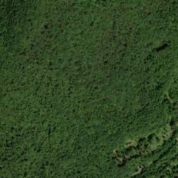 Edgewood New York High Resolution Satellite Map