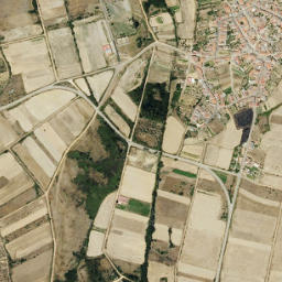 Ayoó de Vidriales map(satellite map)