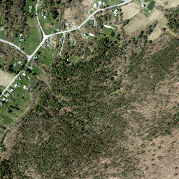 Foster New York High Resolution Satellite Map