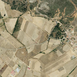 Villageriz map(satellite map)