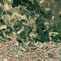 Corella map(satellite map)