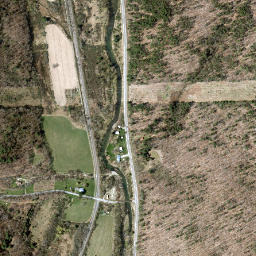 Reniff New York High Resolution Satellite Map