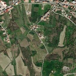 Selva map(satellite map)
