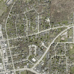 East Dundee map(satellite map)