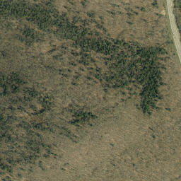 South Carrollton New York High Resolution Satellite Map