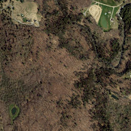 New Forge New York High Resolution Satellite Map