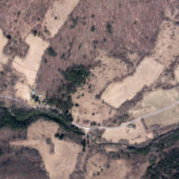 Grant Mills New York High Resolution Satellite Map