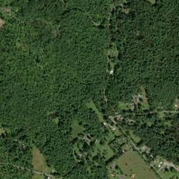 Willow New York High Resolution Satellite Map