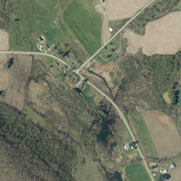 Ivory New York High Resolution Satellite Map