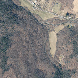 Belle Ayr New York High Resolution Satellite Map