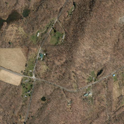 Lester New York High Resolution Satellite Map