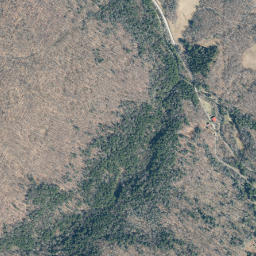 Seager New York High Resolution Satellite Map