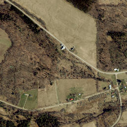 Young Hickory New York High Resolution Satellite Map