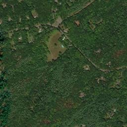 Daisy New York High Resolution Satellite Map