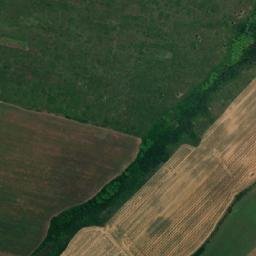 Obshtina Parvomay map(satellite map)