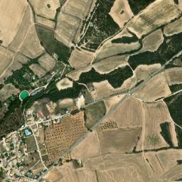Barbuñales map(satellite map)
