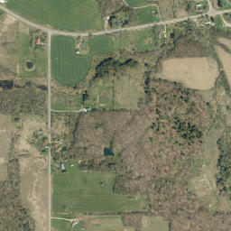 Cutting New York High Resolution Satellite Map