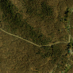 Four Mile New York High Resolution Satellite Map