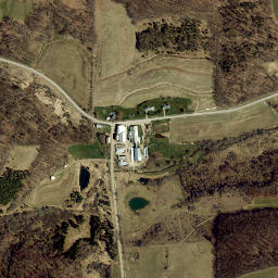 Alice New York High Resolution Satellite Map