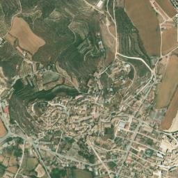 Fonz map(satellite map)