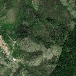 Saracinesco map(satellite map)