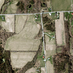 East Nichols New York High Resolution Satellite Map