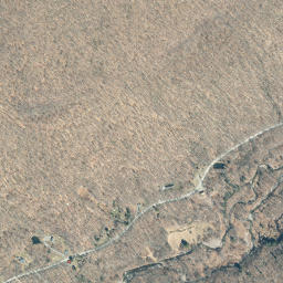 Branch New York High Resolution Satellite Map