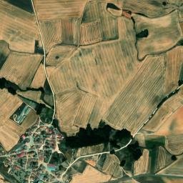 Nebreda map(satellite map)