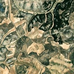 Barillas map(satellite map)