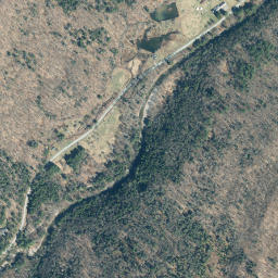 Denning New York High Resolution Satellite Map