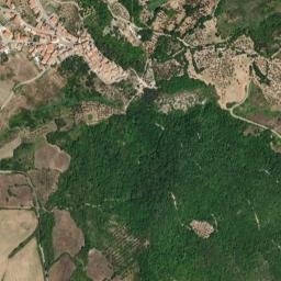 Dogliola map(satellite map)