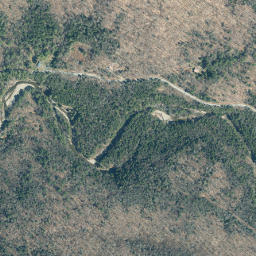 Ladleton New York High Resolution Satellite Map