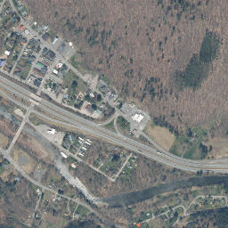 Roscoe New York High Resolution Satellite Map