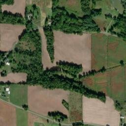 Berrien County map(satellite map)
