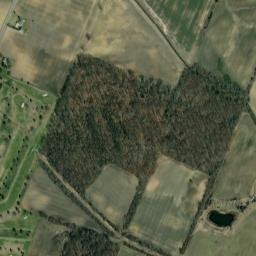 Monroe County map(satellite map)