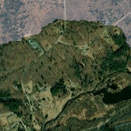 Willowemoc New York High Resolution Satellite Map