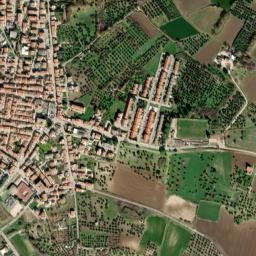 Portocannone map(satellite map)