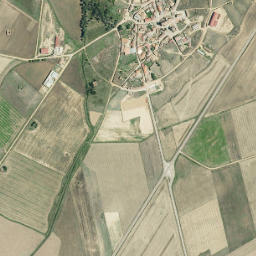 Vidayanes map(satellite map)