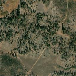 Grizzlie Place California High Resolution Satellite Map