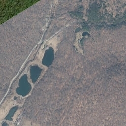 Acidalia New York High Resolution Satellite Map