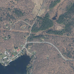 Tennanah Lake New York High Resolution Satellite Map